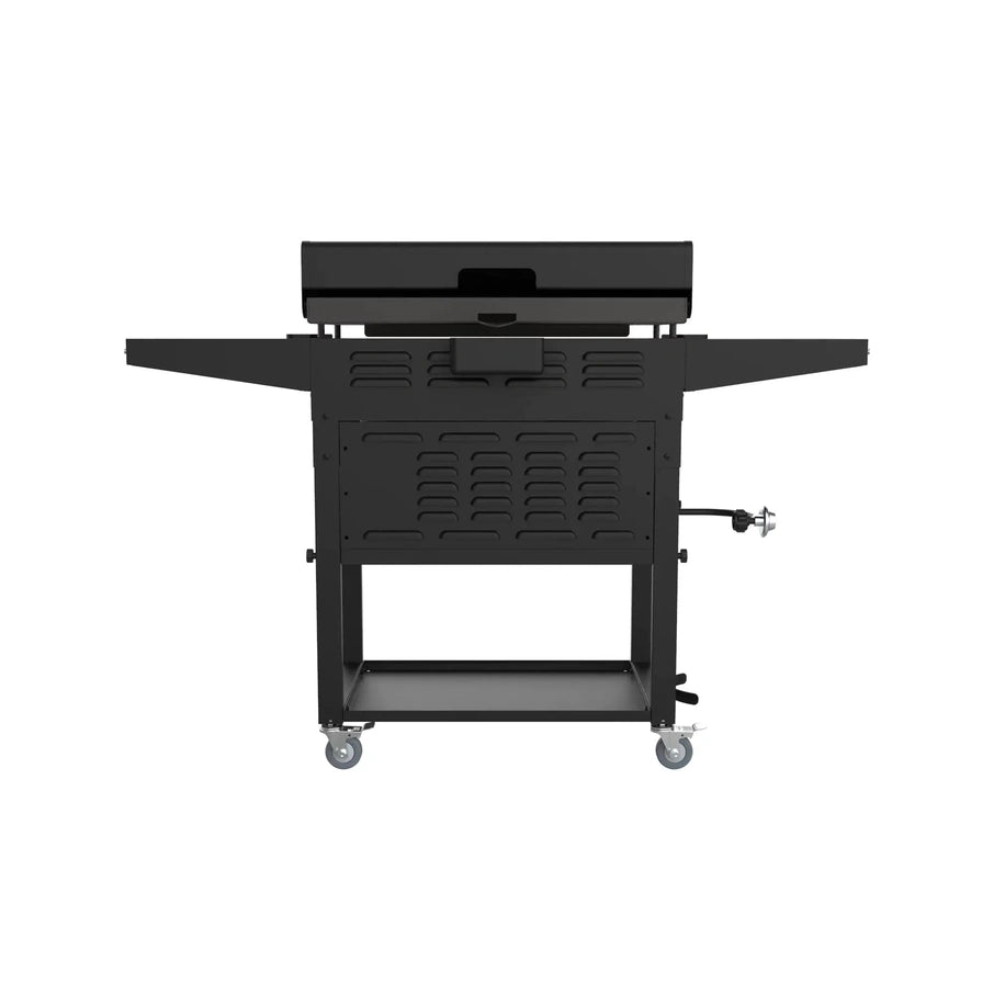 Blackstone 2-Burner 28 In. Griddle With Electric Air Fryer And Hood